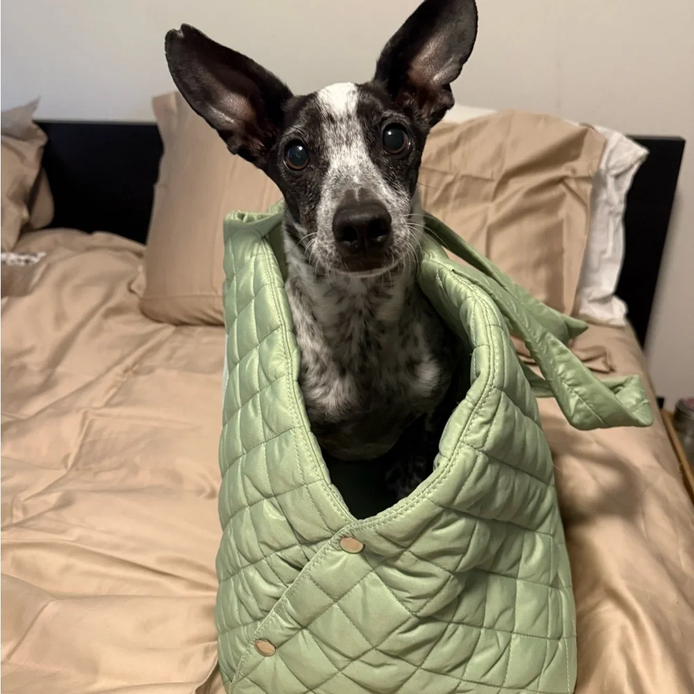 Quilted Green Dog Carrier